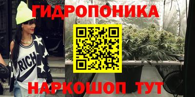 дурь Можга