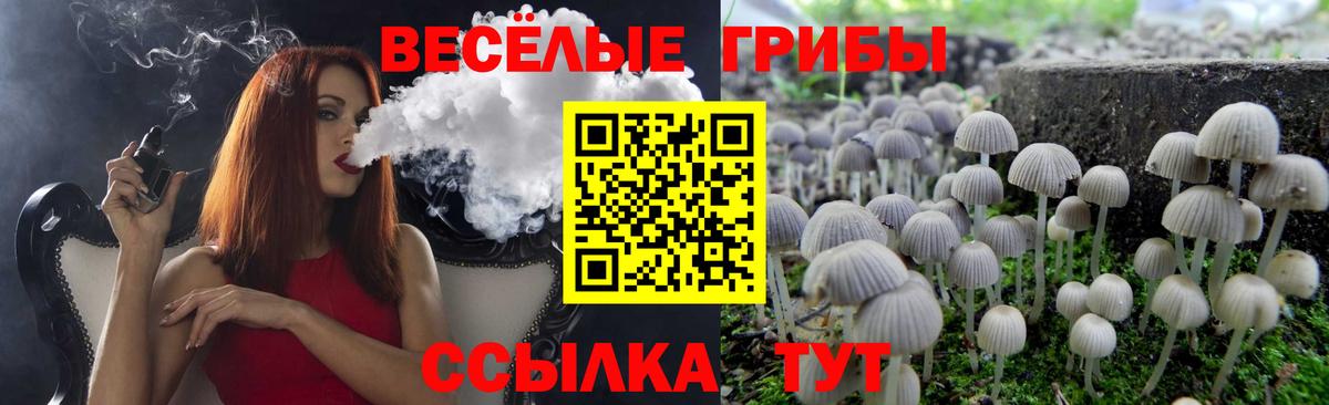 Псилоцибиновые грибы прущие грибы  Вход с VPN  Галлюциногенные грибы Psilocybe  Горно-Алтайск 