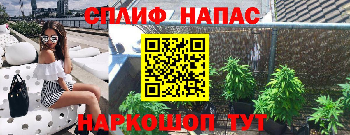 Каннабис семена  Марихуана планчик  Канабис MAZAR  Горно-Алтайск  Вход с VPN 